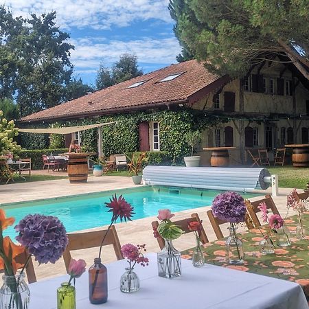Maison Pimoli : Chambre Garance Сустон Екстериор снимка